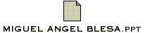 MIGUEL ANGEL BLESA